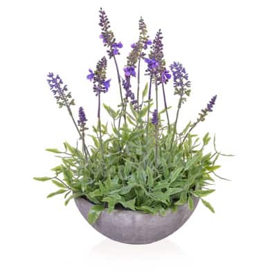 Lavender Bowl - H320mm