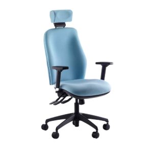 Lux Adjustable Office Task Chair